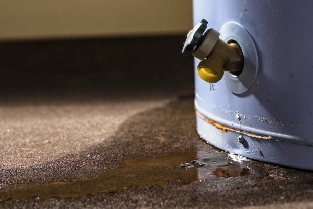 Best Water damage restoration services  in Olton, TX