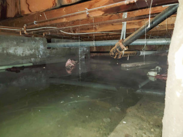Best Emergency water damage restoration  in Olton, TX