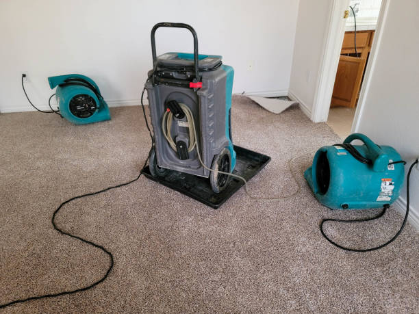  Olton, TX Water damage restoration Pros