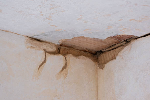 Best Ceiling water damage repair  in Olton, TX
