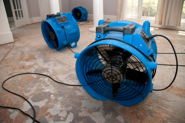 Best Sewage cleanup and water damage restoration  in Olton, TX
