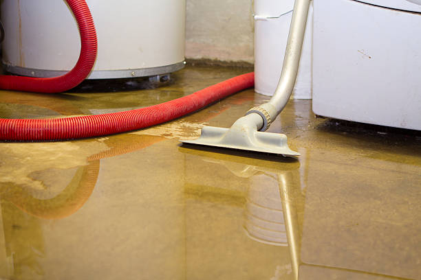 Best Ceiling water damage repair  in Olton, TX