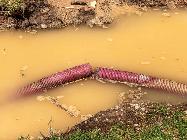 Best Water damage restoration near me  in Olton, TX